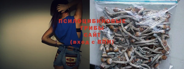 гашик Покров