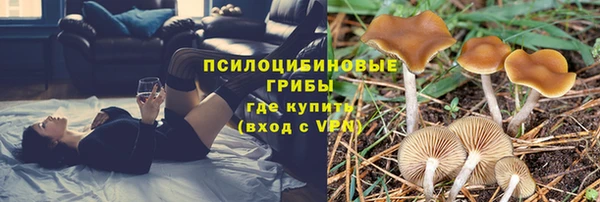 кокаин перу Бородино