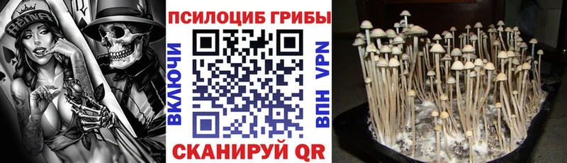 магазин продажи   Батайск  Псилоцибиновые грибы MAGIC MUSHROOMS 