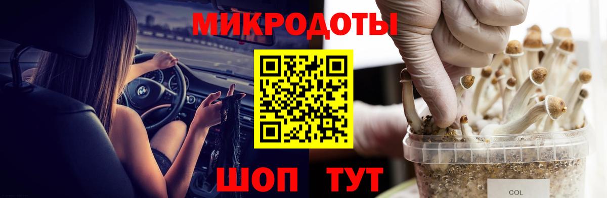 Псилоцибиновые грибы Psilocybe  наркота  Псилоцибиновые грибы мухоморы  Батайск 